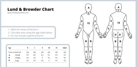 bsa claim calculator|Victims .
